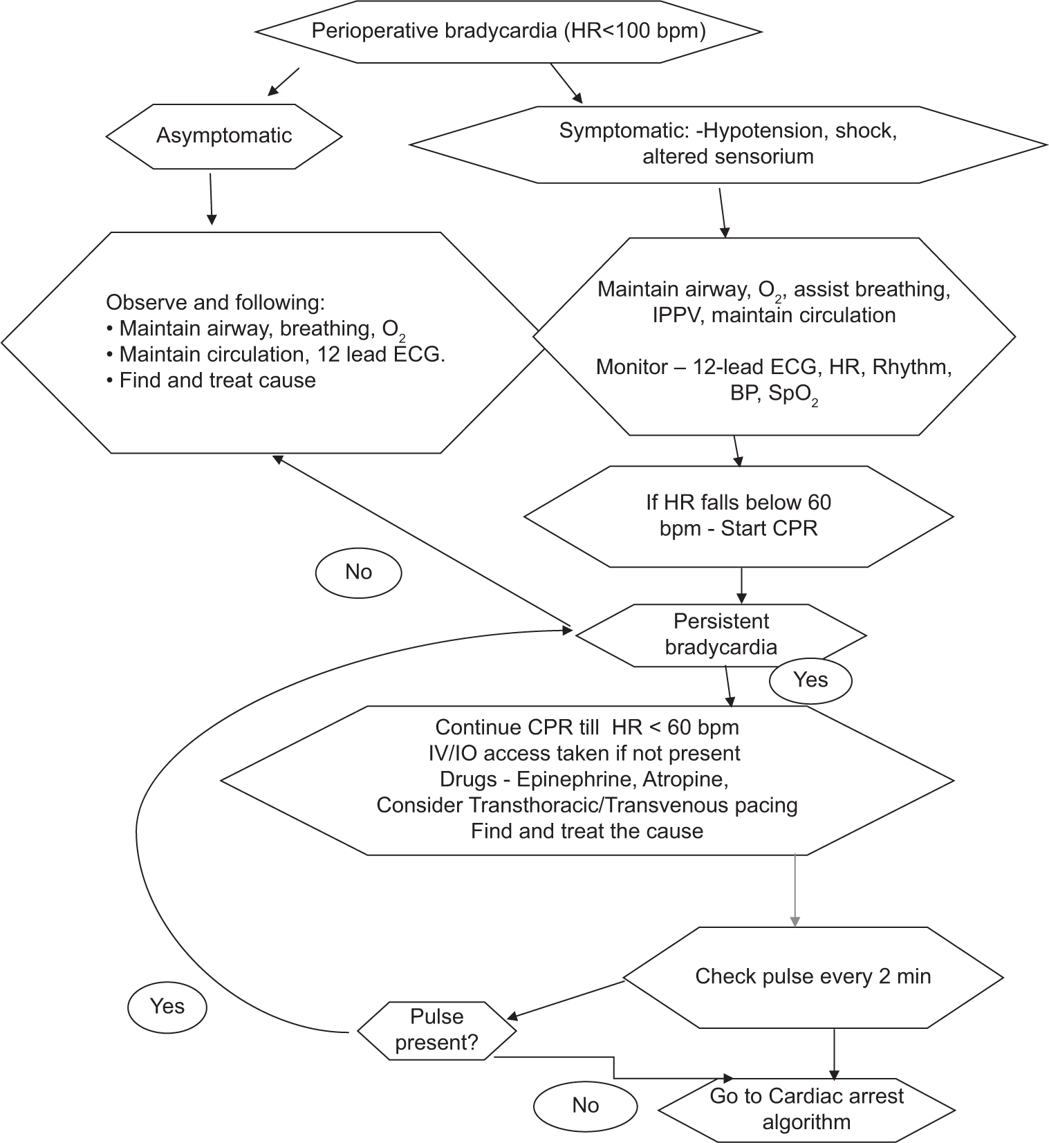 Management of perioperative neonatal bradycardia. O2: Oxygen, ECG: Electrocardiogram, IPPV: Intermittent positive pressure ventilation, HR: Heart rate, SpO2: Oxygen saturation, BP: Blood pressure, NIBP: Noninvasive blood pressure, CPR: Cardiopulmonary resuscitation, IV/IO: Intravenous/intra-osseous, RR: Interval between two R waves on ECG, H/o: History of, bpm: Beats per minute.