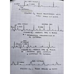 Article figure